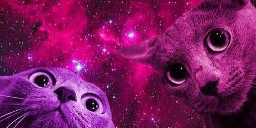 TSmitttty's profile banner image