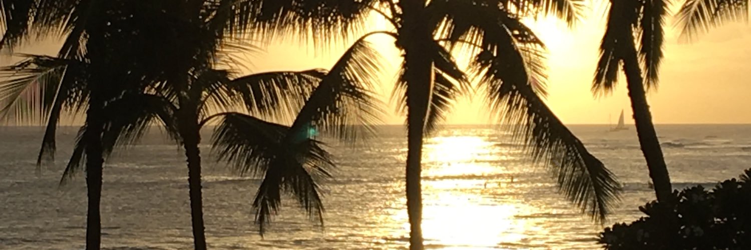 RHMarion's profile banner image