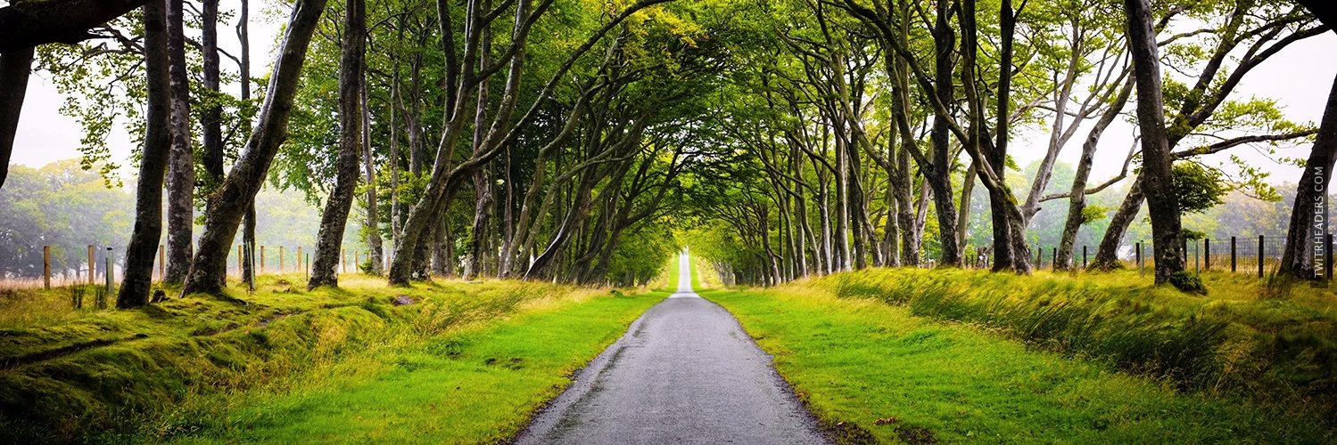 Hailey Peterson banner