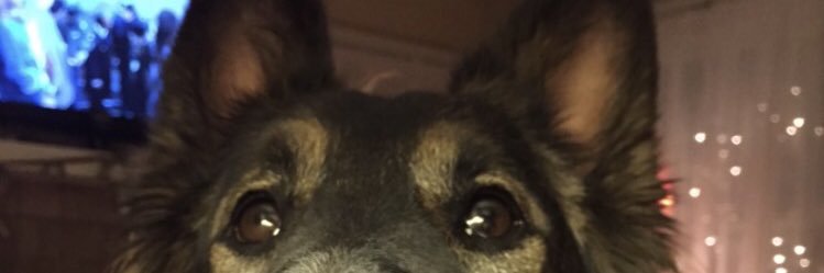 maximo8996's profile banner image