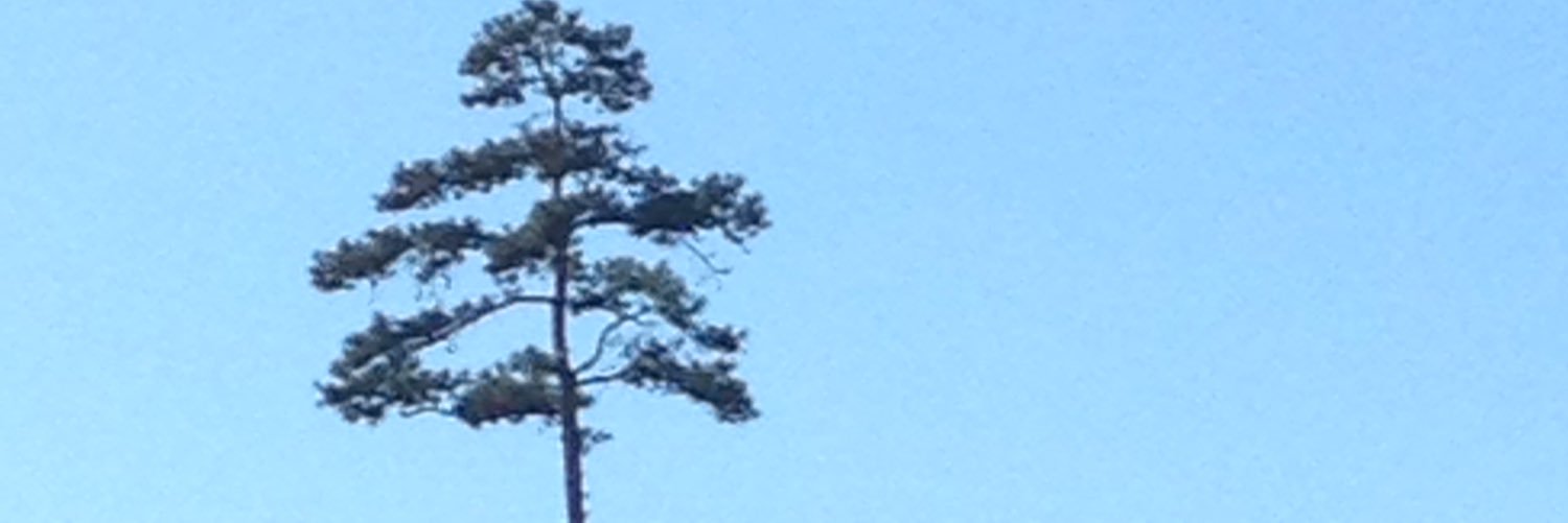 SeanGPoole's profile banner image
