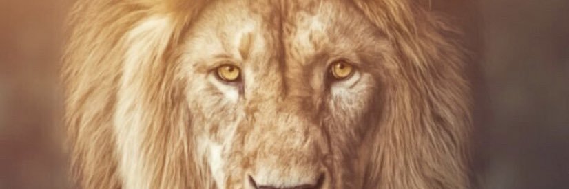 rdaub18's profile banner image