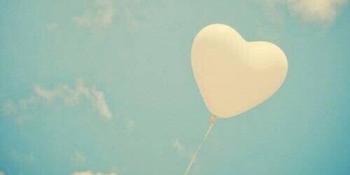 __White_Flower's profile banner image