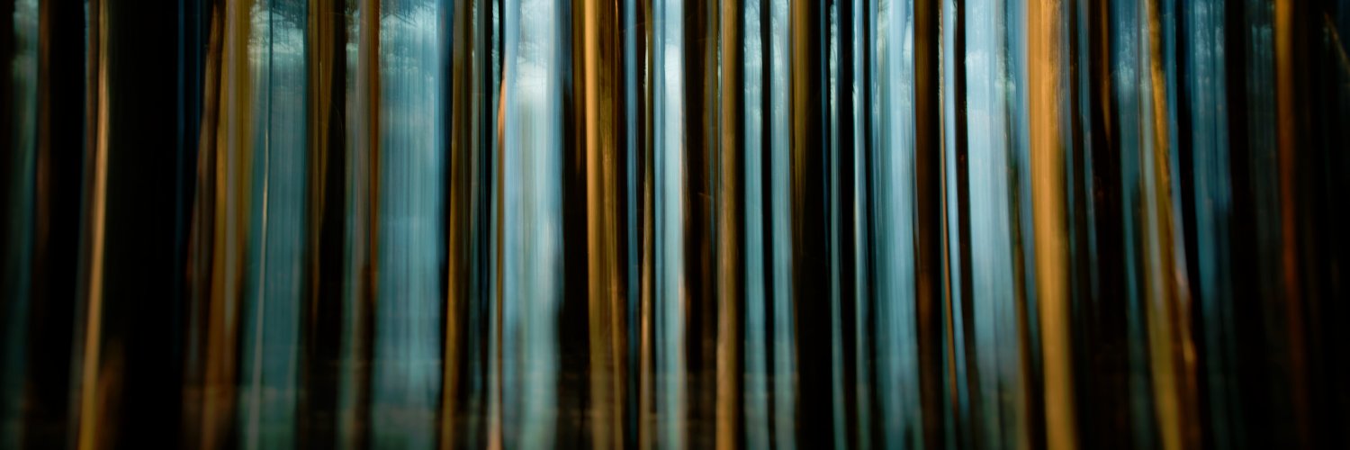 EightCattails's profile banner image