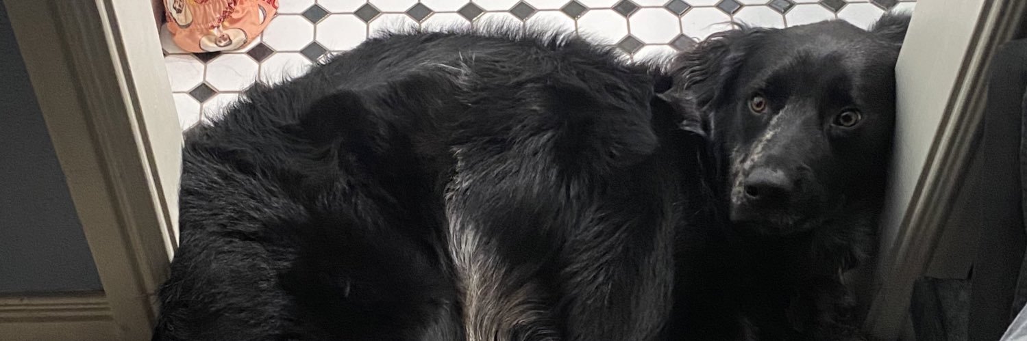 Blakemcleod's profile banner image
