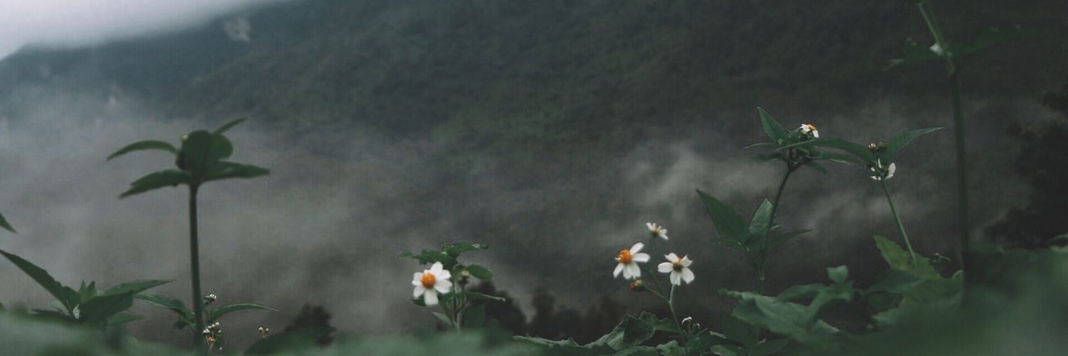 PCHONGS21_'s profile banner image
