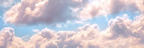 BarbieAgitprop Profile Banner