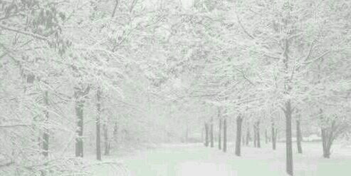 _Frozen_Soul_'s profile banner image