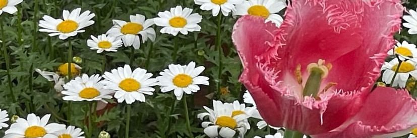 4hoonmna's profile banner image