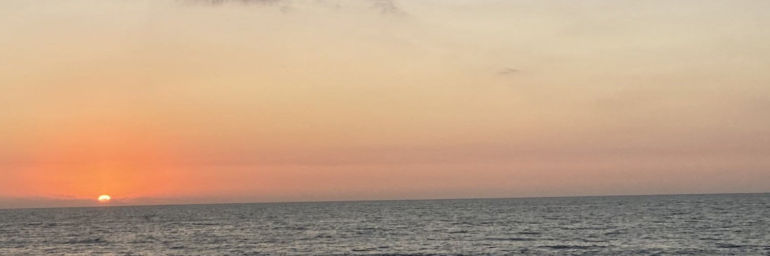 esssql's profile banner image