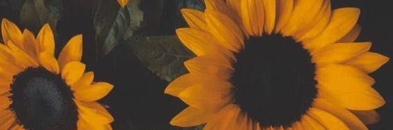 emmaflach's profile banner image