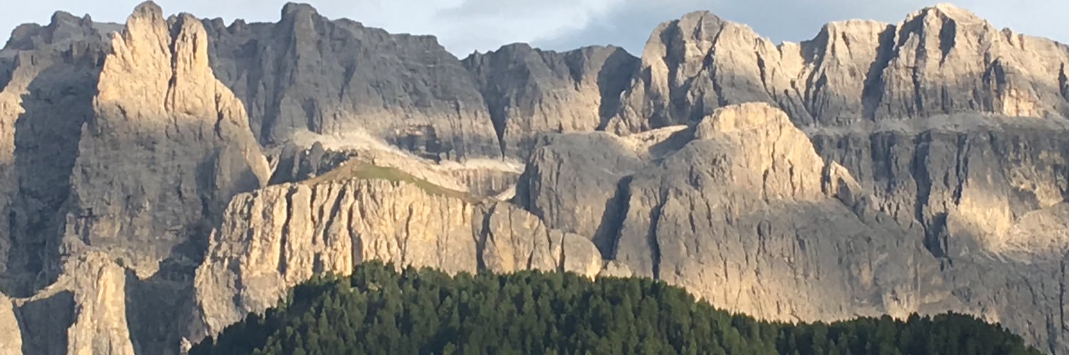 Maryo l'immenson 🇵🇸 banner