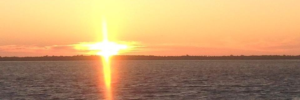 NEMLOR's profile banner image