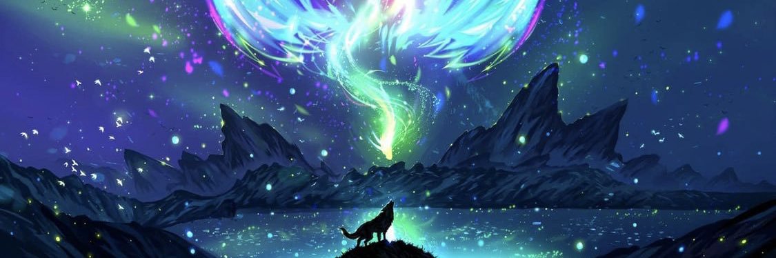 lsgauntner's profile banner image