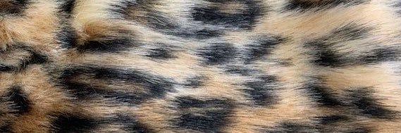 Taylor Jo banner