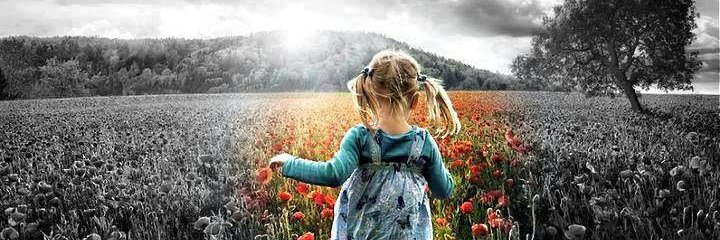Willowtreefaery's profile banner image