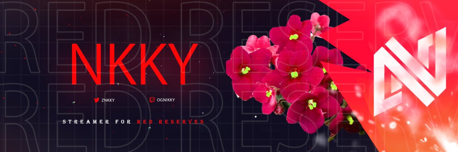 Nikky banner