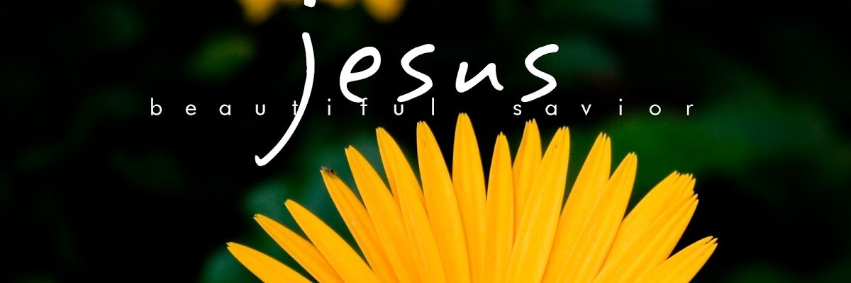 LoveSoul100's profile banner image
