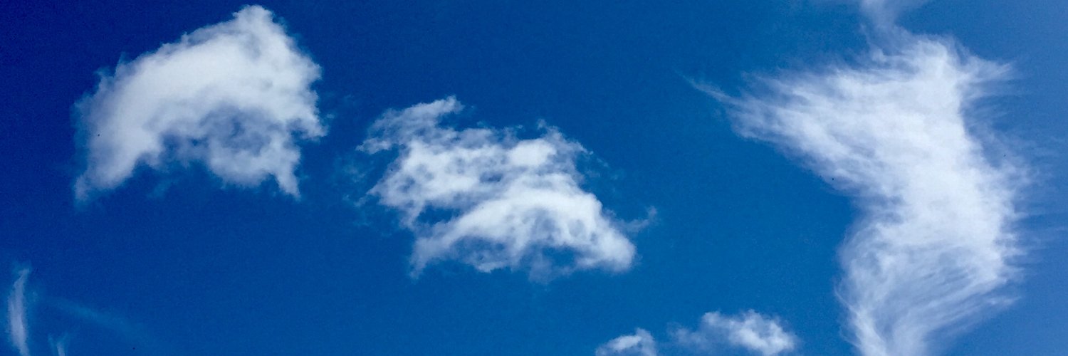 t_jevon's profile banner image