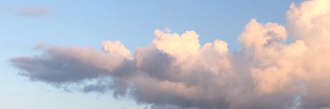 jacki_harris4's profile banner image