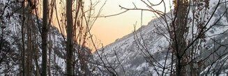 sosdll1's profile banner image