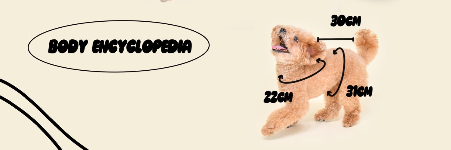 りざっち banner