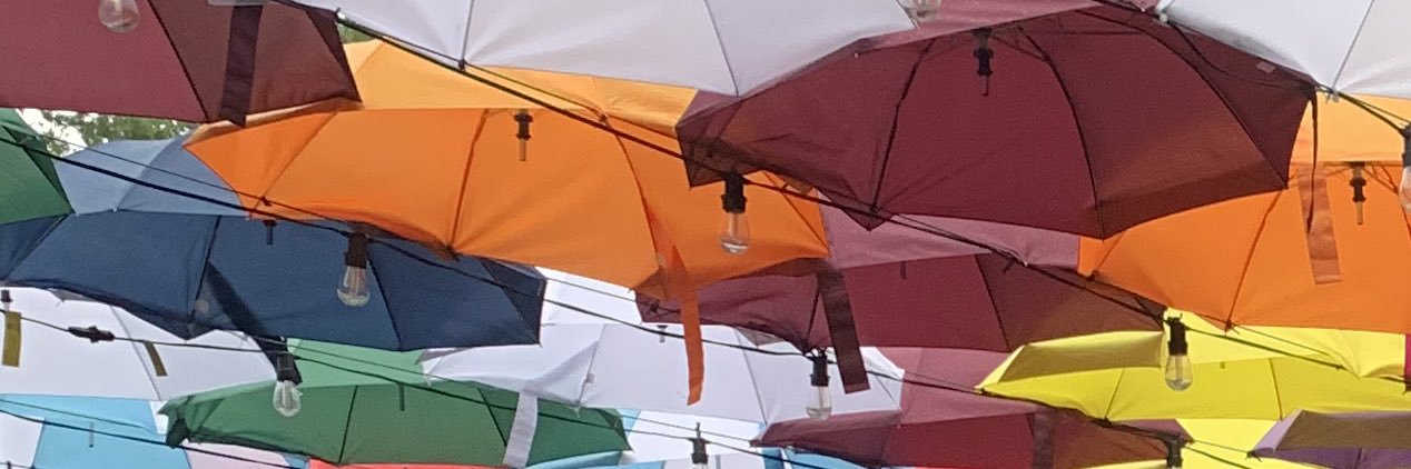 catjefferss's profile banner image