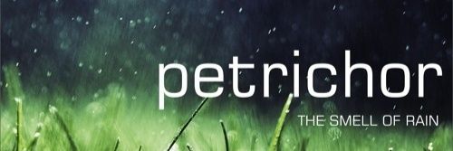 andripokemon's profile banner image
