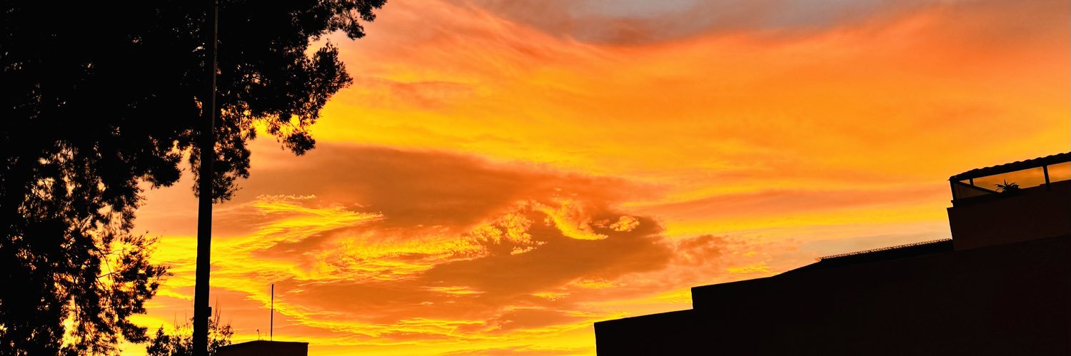 desireetappia's profile banner image