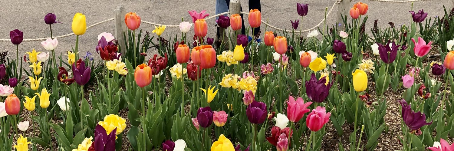 carlyhoffman72's profile banner image
