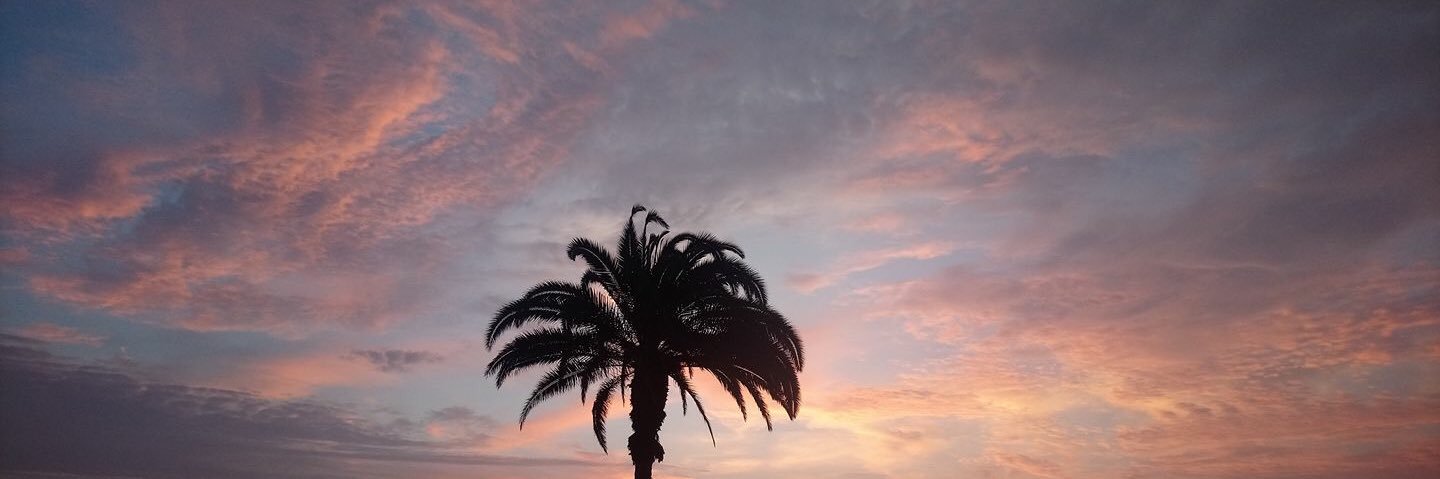 chelsea-julia banner