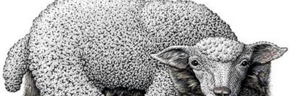 mleec108's profile banner image