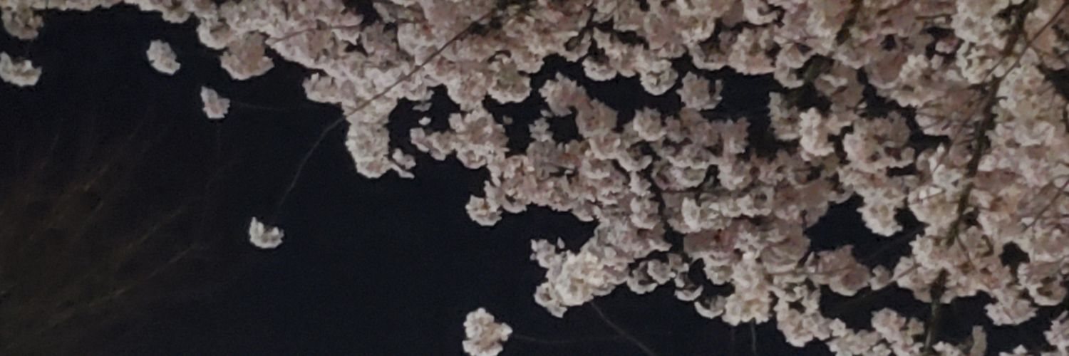 redefenestrated's profile banner image
