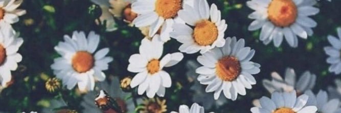 BethhAnnee's profile banner image