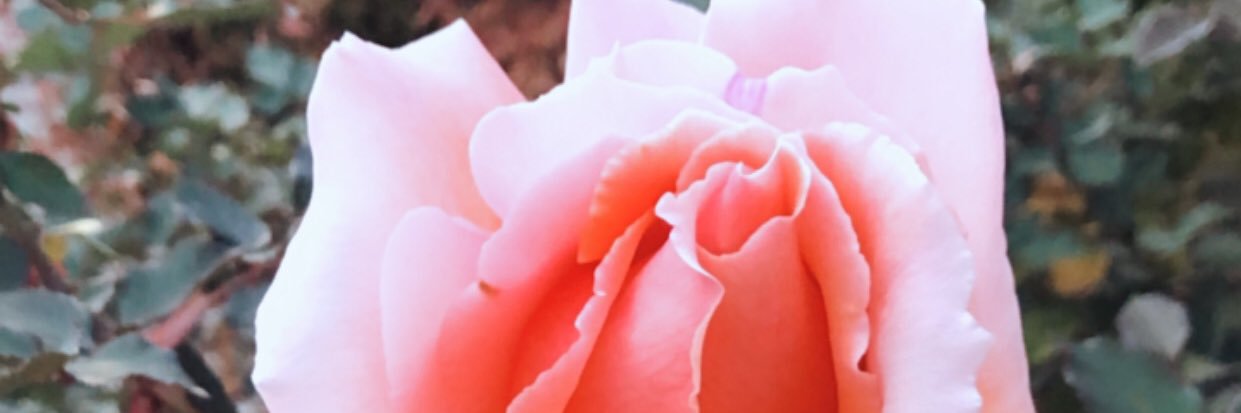 CameronKayHobbs's profile banner image
