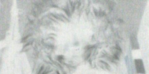 duffy banner
