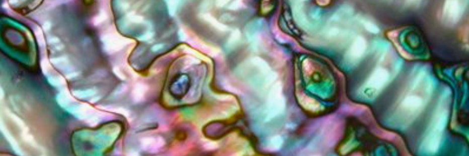 sydneymscott's profile banner image