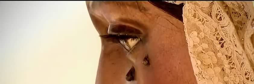 Macarena Morillo 🌸 banner