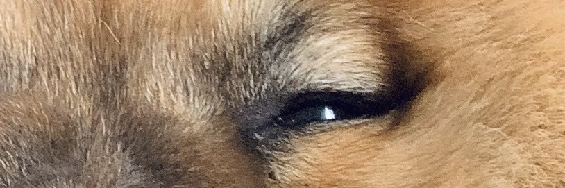 FLauzanne's profile banner image