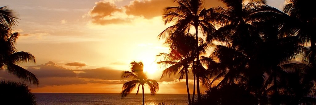 9Kana's profile banner image
