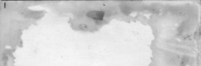 sheareiswig's profile banner image