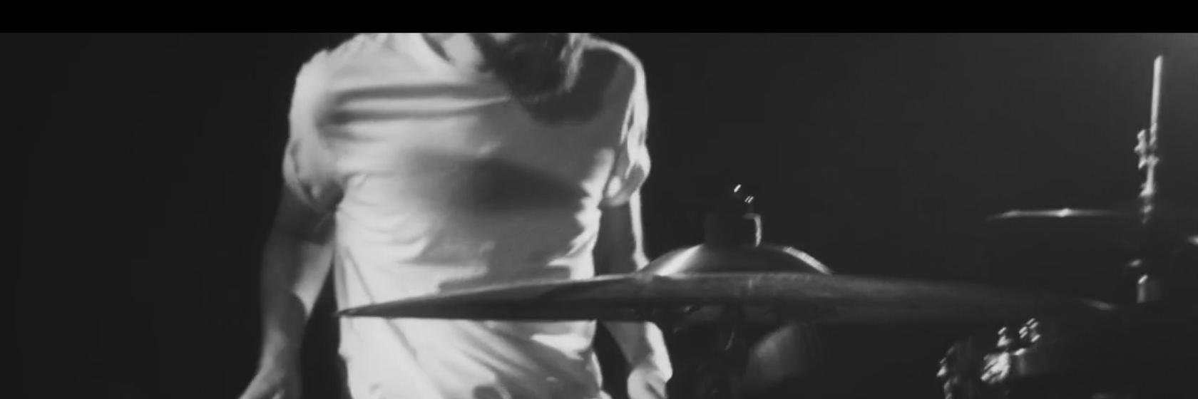 Beardacus banner