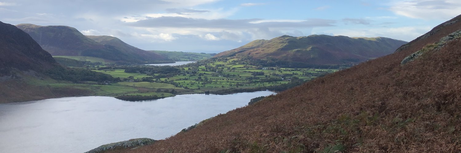 Lewis Allison banner