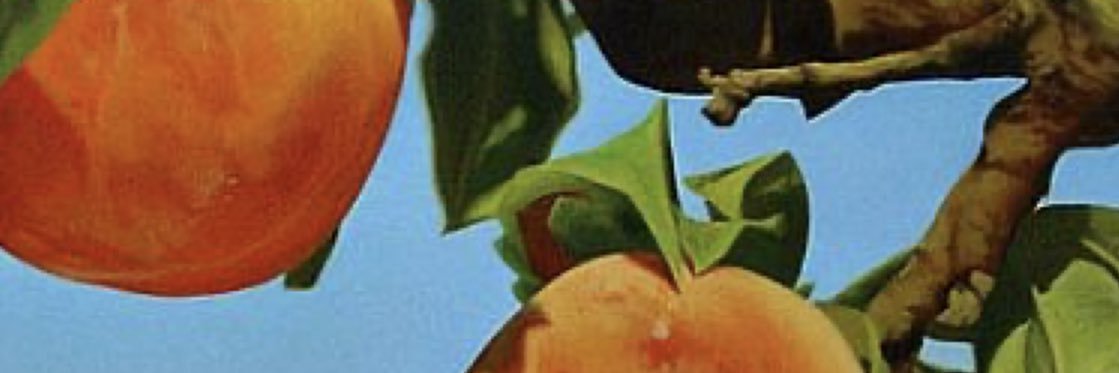 jesshumphrey's profile banner image