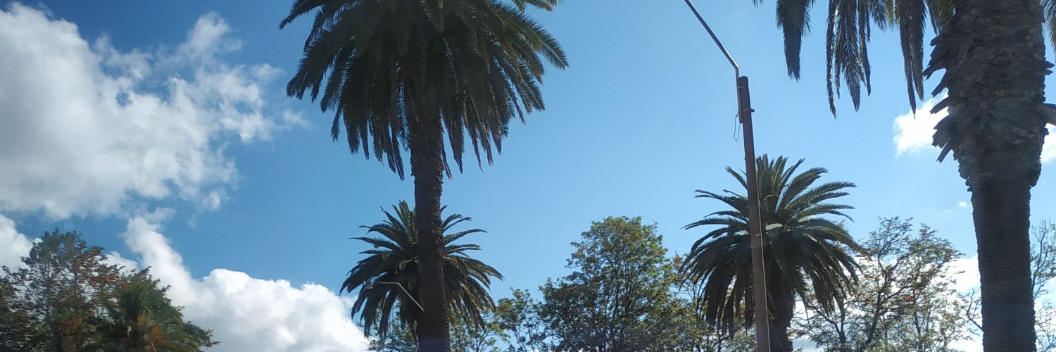 MensStella's profile banner image