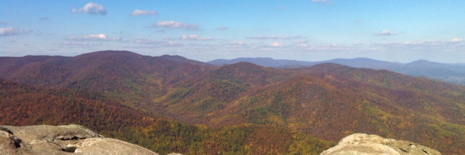 tim__carpenter's profile banner image