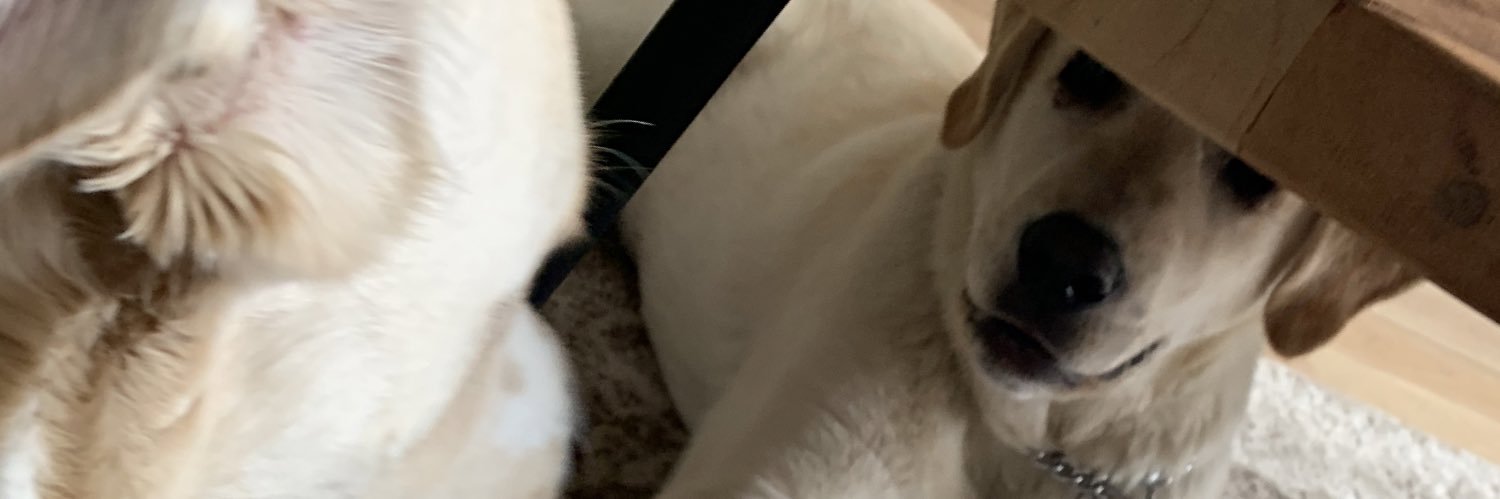 waynegagnon's profile banner image