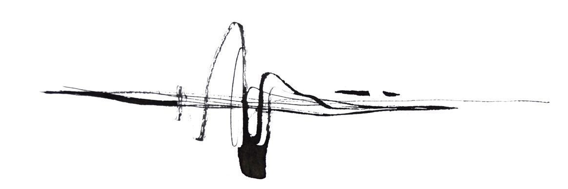 aritolopez's profile banner image