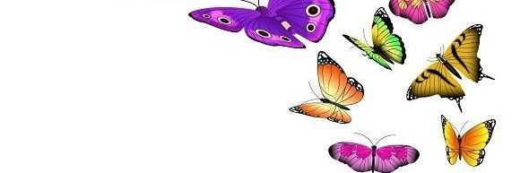 butterflyflyin4's profile banner image