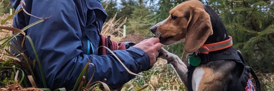 Edelle Doherty banner